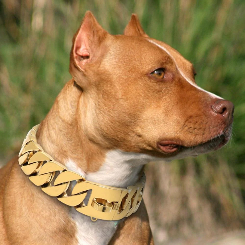 Dog Collar Australia -  Australia